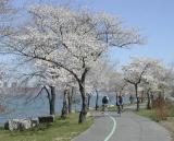 Hudson River Greenway, April 2002 by Jim Zisfein