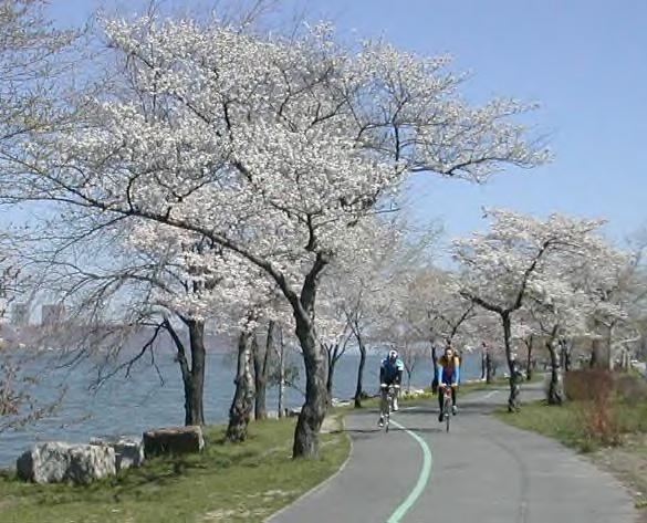 Hudson River Greenway, April 2002 by Jim Zisfein