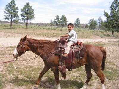 Arturo getting a ride to the barn