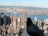 Empire State Building Observation Deck, NYC (6/3/02)