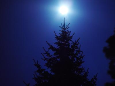 Moon Atop My Christmas Tree