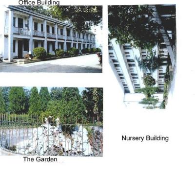 Hengyang-Nursery etc[1].jpg