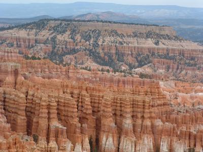 Bryce