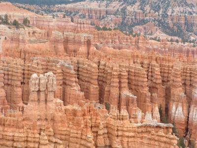 Bryce