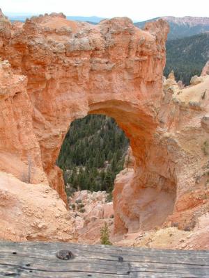 Bryce