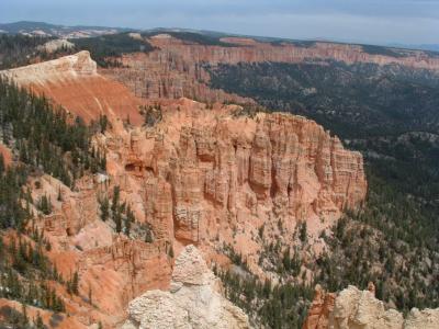 Bryce