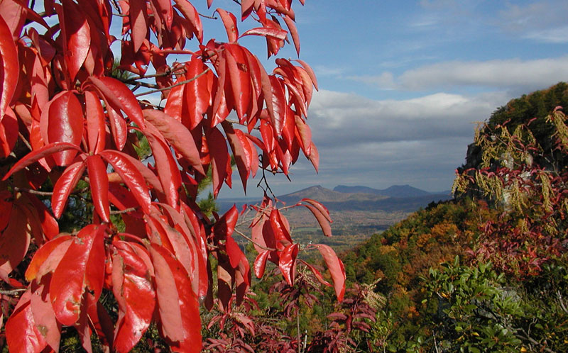 Pilot Mountain in the Fall