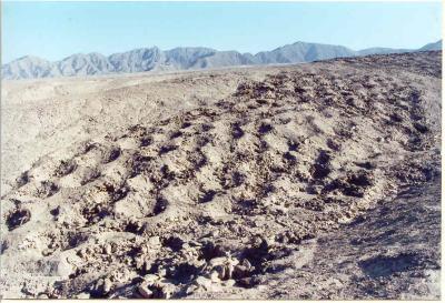 The mysterious' avenue of smallpox spots' stretches along the Andes for many kilometres