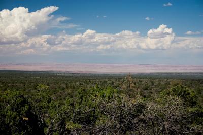 Green pastures meets the painted desert