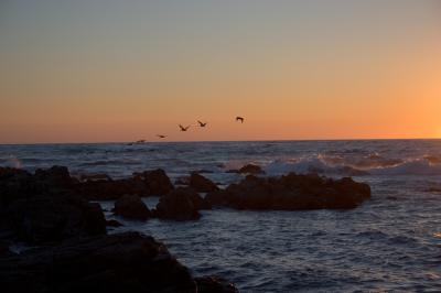 Pacific Coast