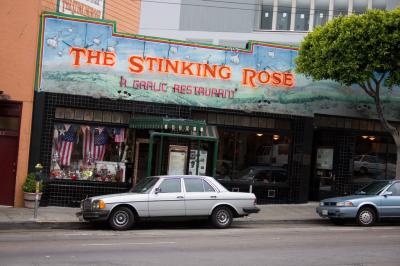 The stinking rose