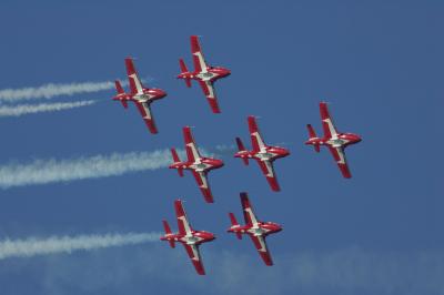 Snowbirds2.jpg