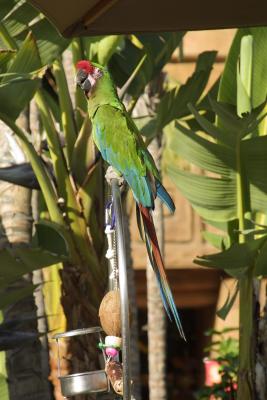 CRW_7495.jpg