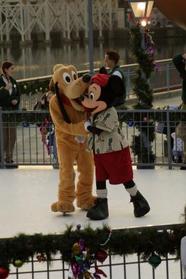 CRW_7800.jpg