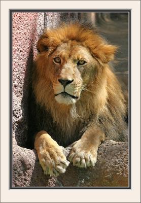 IMG_0024ps-b{Q}.jpg
