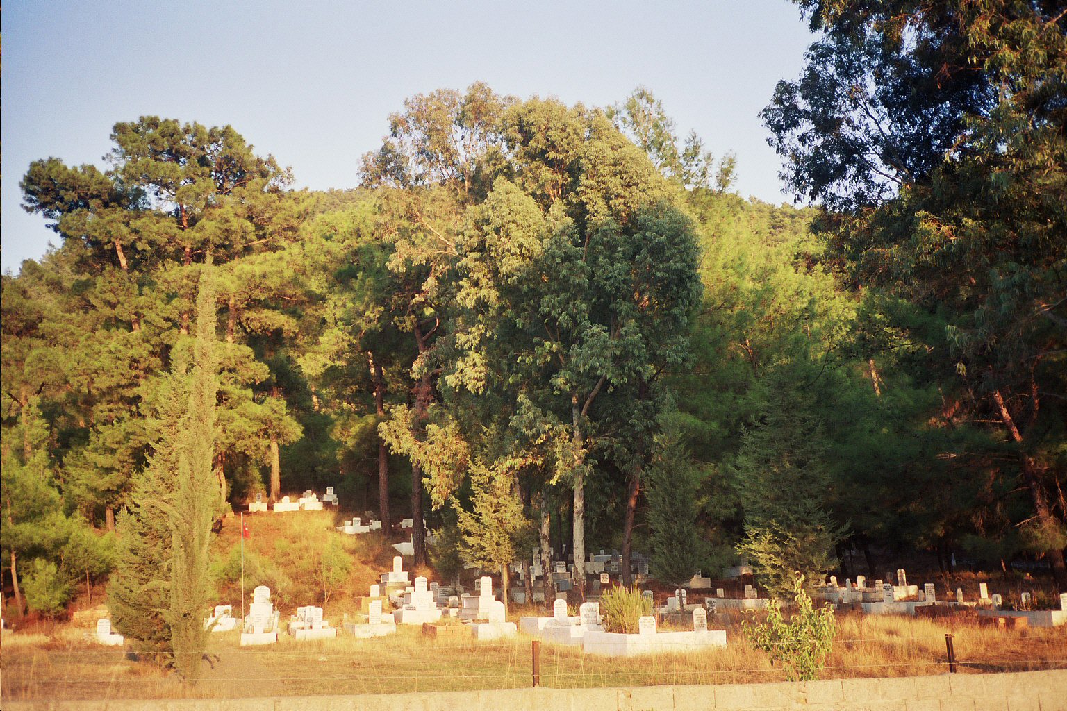  Cemetary outside Dalyan