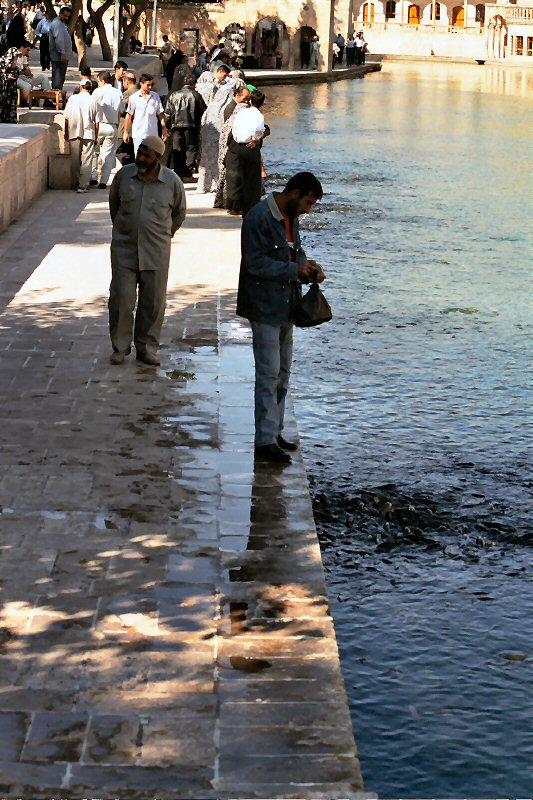 Abrahams pool, Urfa