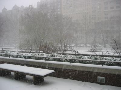The snow falling was very pretty. This was New York's largest snow storm in three years.