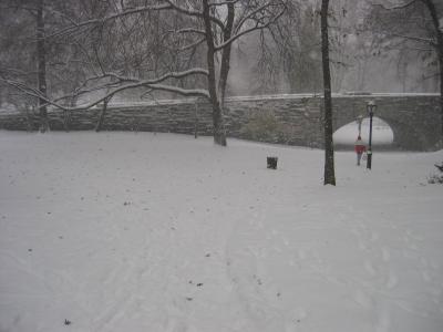 A view of the south entrance of Central Park near 65th and Eighth Avenue.