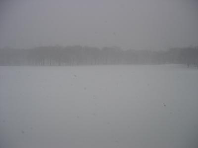 A very snowy view of Central Park's Sheep Meadow.