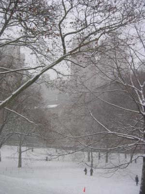 A beautiful snowy walk through Central Park.