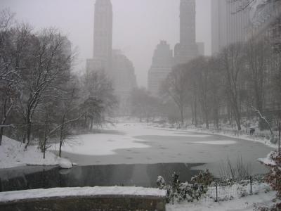A view of The Pond at the southern edge of Central Park.