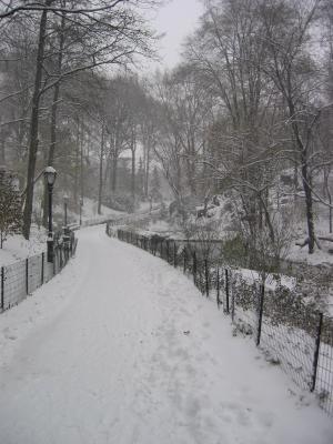 A view of one of the many path ways in Central Park.