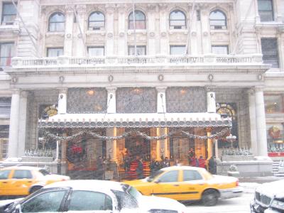 A view of the outside of the Plaza Fifth Avenue hotel.