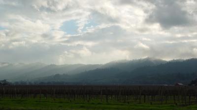 Dramatic Haze