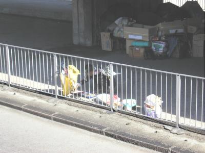 PC120008.JPG