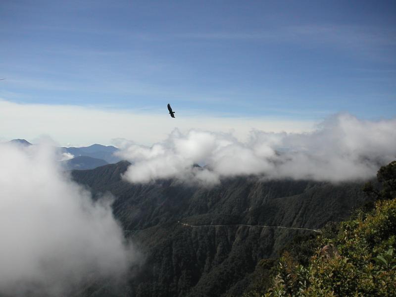 Soaring