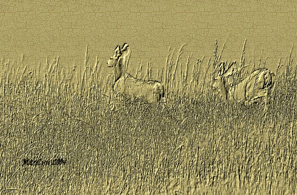 just over the hill