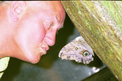 Oh what a big beautiful butterfly you are - give us a kiss!