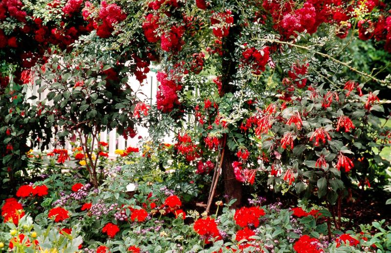 Butchart gardens.British Columbia