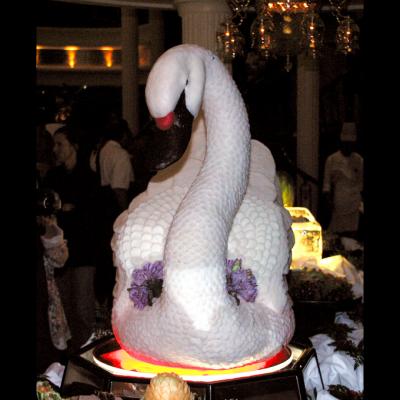 shortening swan