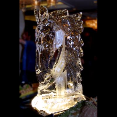 The Ice Sculptures
