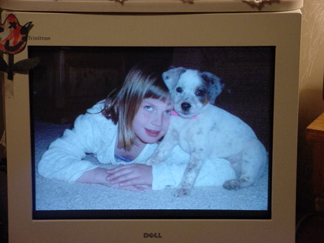 Tammys niece and her new puppy