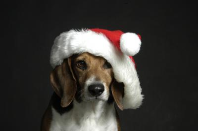 u19/originart/medium/8947370.DSC_6136_laying_santa.jpg