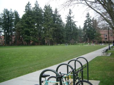 The walkway outside my dorm