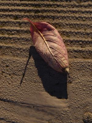 PB120065.jpg