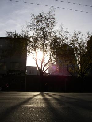 PB120079.jpg