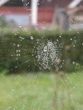 PB110037.jpg