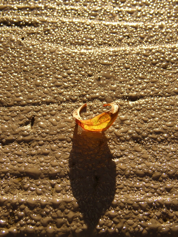 PB120062.jpg
