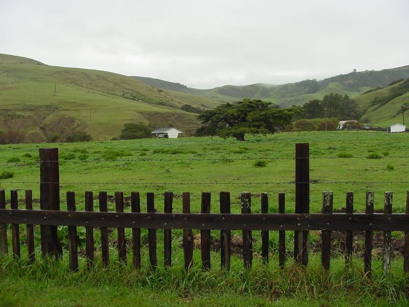 ca306.jpg