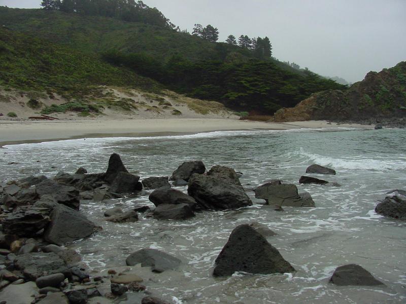 ca308.jpg