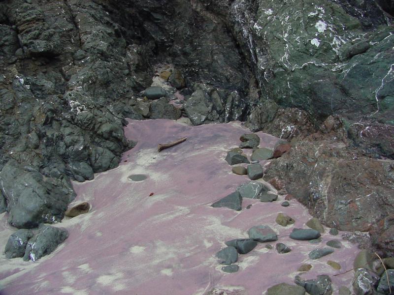 ca317.jpg