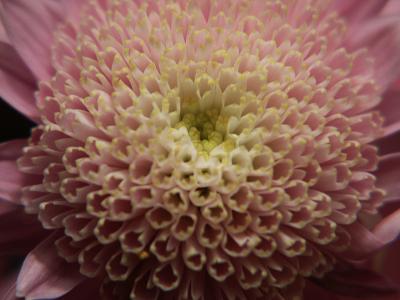 200mm+4.jpg