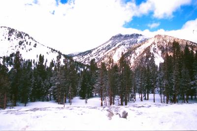PR20221148528.jpg