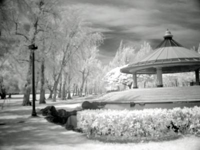 Queen Kapiolani Park  infrared photography