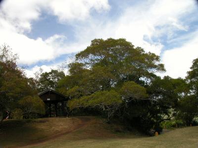 imgI 030.jpg
